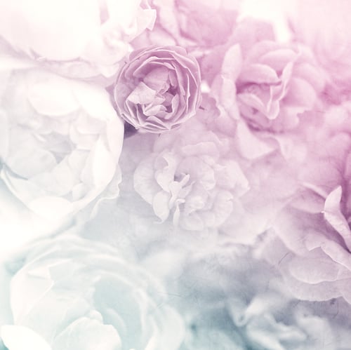 Preview: Sweet Color Roses On Mulberry Paper Texture For Background