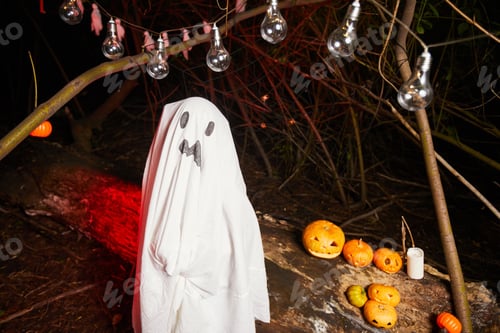 Preview: Child in ghost costume at party