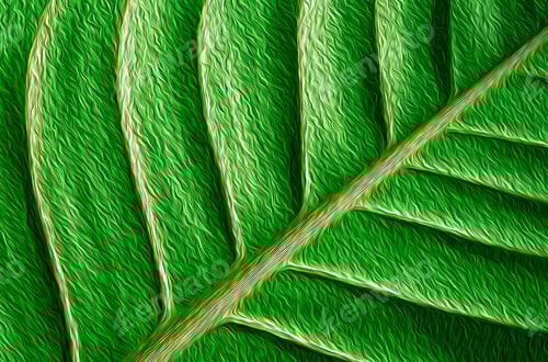 Preview: Vibrant Green Leaf with Detailed Veins