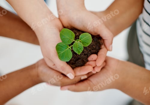 Preview: Were helping each other grow in this business