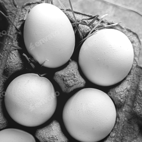 Preview: Farm fresh Cotswold eggs