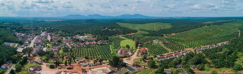 Preview: Aerial drone view of a small town near oil palm plantations land in Asahan, Melaka, Malaysia.