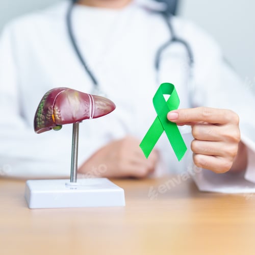 Preview: Doctor with green ribbon and human Liver anatomy model.