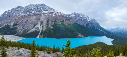 Preview: Lake Peyto in Banff National Park, Canada. Mountain Lake as a fox head is popular among tourist in