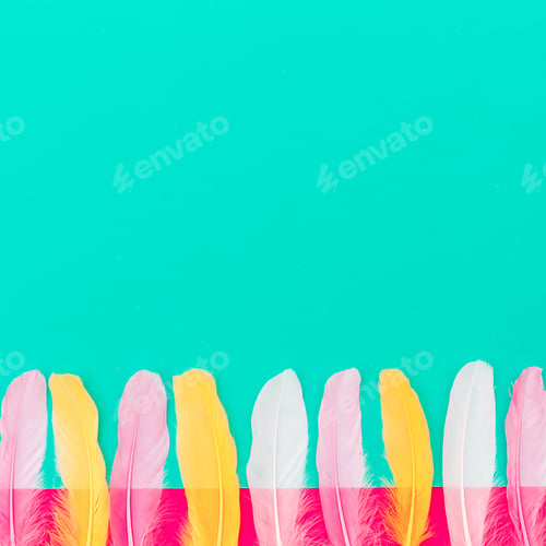 Preview: Minimal feathers background art gallery
