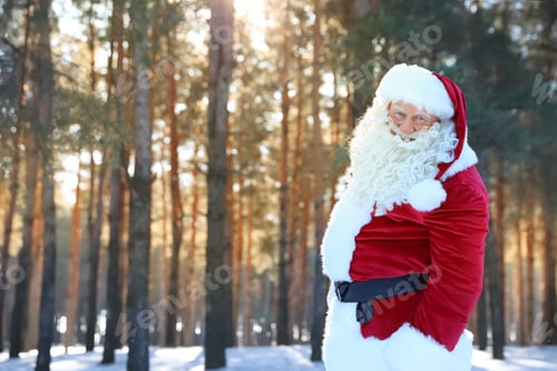 Preview: Happy Authentic Santa Claus outdoors, space for text