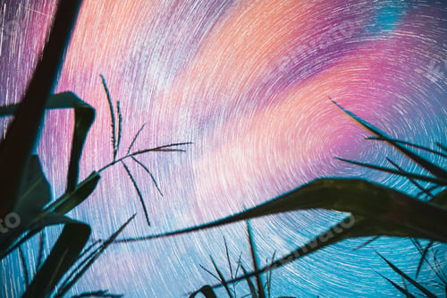 Preview: Bright Night Starry Sky Glowing Stars And Meteoric Track Trails Above Maize Corn Field. Serenity
