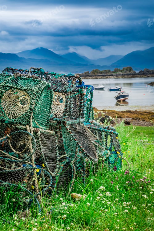 Preview: Colored cage for lobster on shore in Scotland