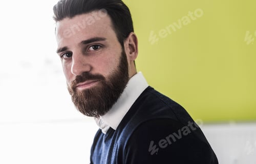 Preview: Portrait of a young businessman
