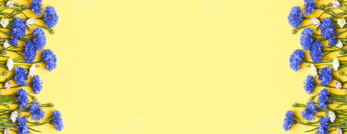 Preview: Frame of blue cornflowers and daisy flowers on a yellow background. Greeting card, summer concept