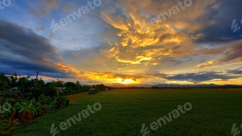 Preview: Scenic view of rice paddy field under a cloudy sky in Nueva Ecija, Philippines during sunset