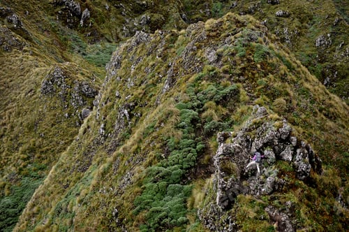 Preview: Distant view of female hiker hiking in mountains, Tararua Ridge, New Zealand