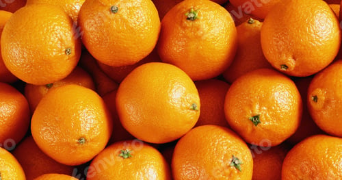 Preview: Fresh Oranges Background View
