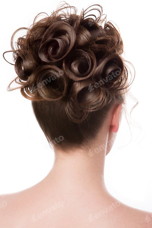 Preview: Woman's Elegant Brown Updo Hairstyle on White Background