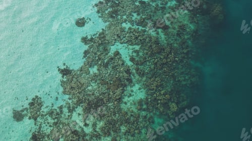 Preview: Aerial view of clear sea water and coral reef in Koh Kradan Island, Andaman sea