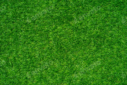 Preview: Artificial grass