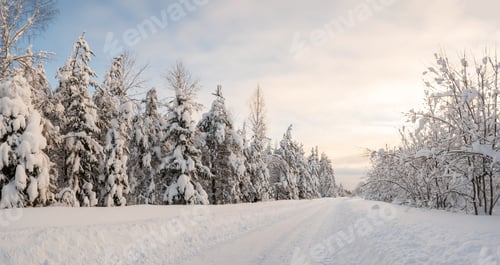 Preview: Country road, cleared of snow, passes through forest on frosty winter evening