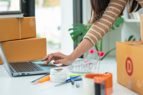 Preview: Starting Small business entrepreneur SME freelance,Portrait young woman working at home office