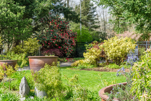 Preview: A Veiw Of A Garden In Seatac, Washington With Large Planters.