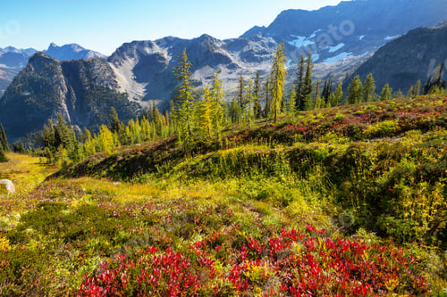 Preview: Mountains in Washington