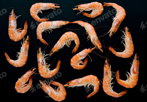 Preview: prawns