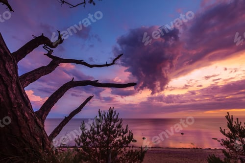 Preview: Beautiful view of the purple sky at sunset. Baltic Sea, Lithuania