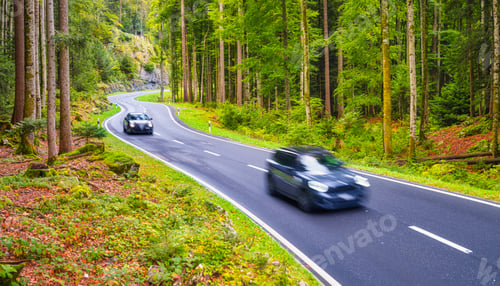 Preview: Road among the forest. A blur of car lights. Landscape in the forest.
