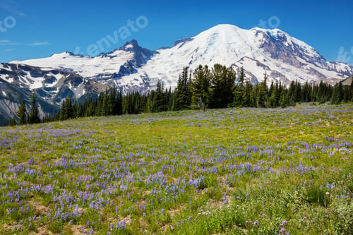 Preview: Mt Rainier