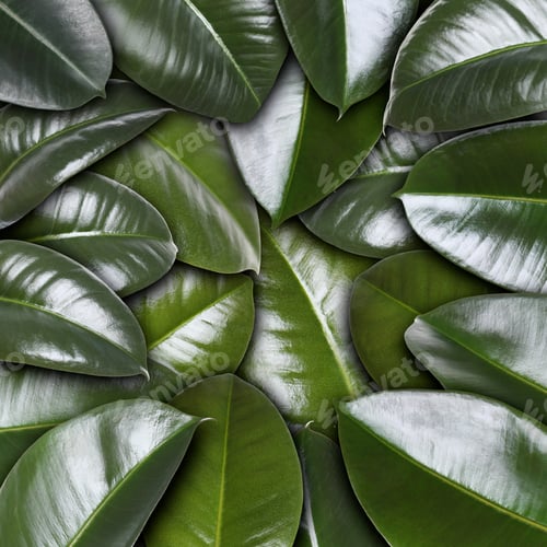 Preview: Many fresh green leaves as textured background