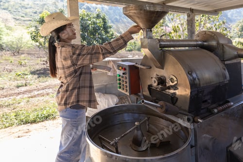 Preview: Coffee processing. Coffee roasting machine with arabica coffee beans in stainless steel cooling bin
