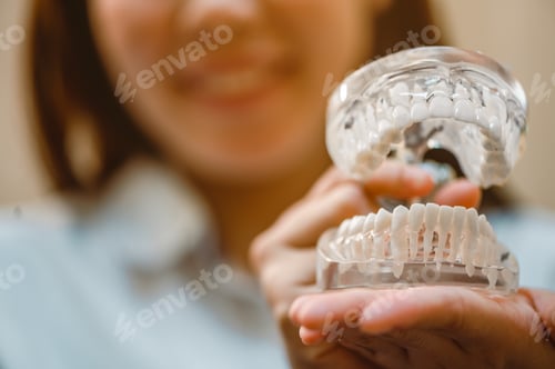 Preview: The dentist pointed out the dental model to explain the patients for examination and dental care at