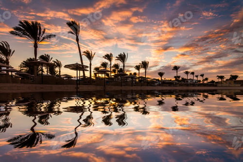 Preview: Beautiful romantic sunset over a sandy beach and palm trees. Egypt. Hurghada