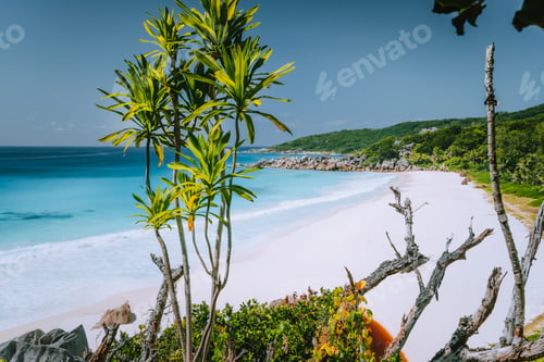 Preview: Vacation holiday at Petite Anse paradise beach in summer season . La Digue island, Seychelles