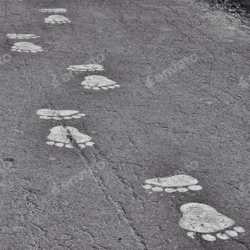 Preview: Painted bear footprints on pavement