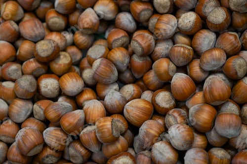 Preview: Hazelnut nut health organic food in the box in store