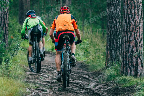 Preview: Two mountainbiker