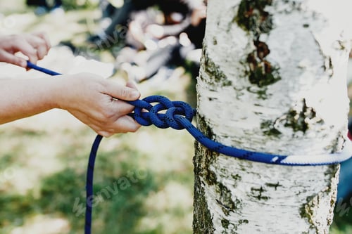 Preview: Women hands pull a strong blue rope tied to a birch tree. Zip line installation
