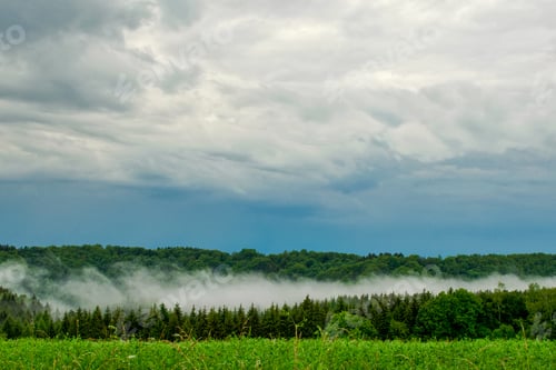 Preview: Beautiful storm clouds over forrest