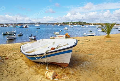 Preview: Fishermens boats in Alvor city