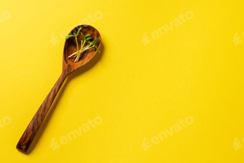 Preview: Micro greens in wooden spoon on paper background