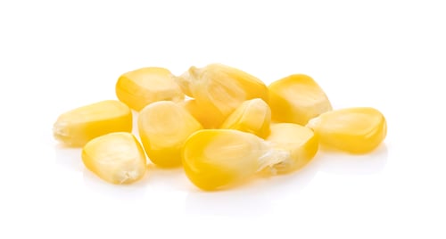 Preview: yellow corn grains on white