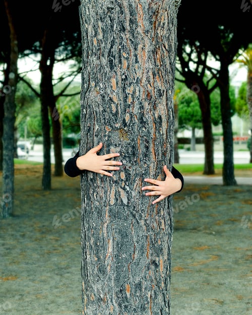 Preview: Concept of care of nature and the planet.