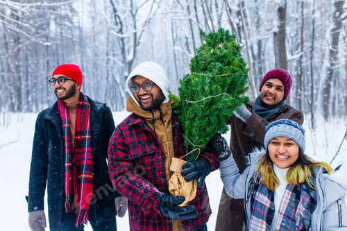 Preview: Outdoor lifestyle portrait of four best friends carrying the tree to home