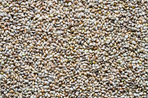 Preview: Top view of hemp seeds. Seeds backgound.