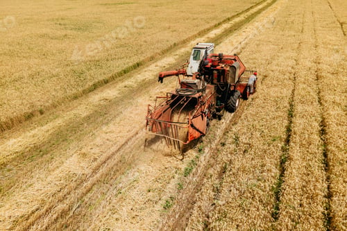 Preview: aerial view of a old Combine harvester goes on way to harvest wheat.