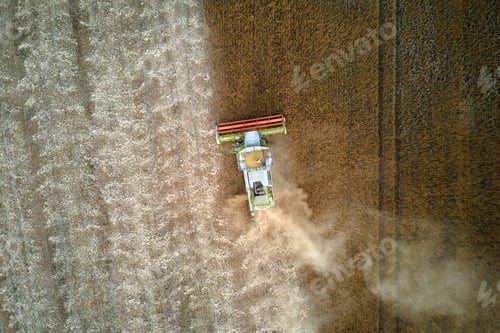 Preview: Aerial view of combine harvester working during harvesting season on large ripe wheat field
