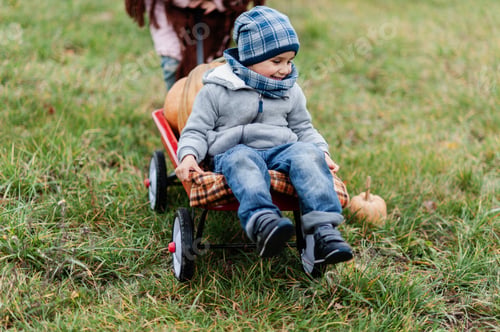 Preview: Autumn harvest organic pumpkins and apples. Happy children on pumpkin patch