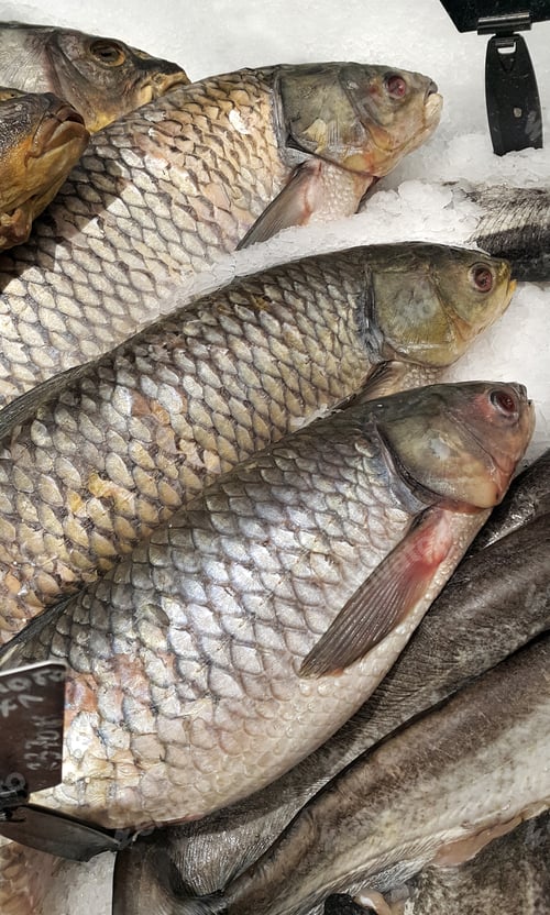Preview: Cooled fish on ice for sale in market
