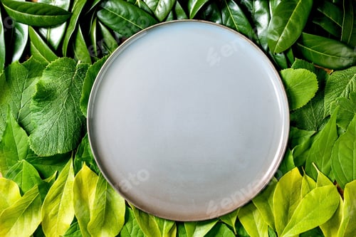 Preview: Empty ceramic plate on background made of green leaves