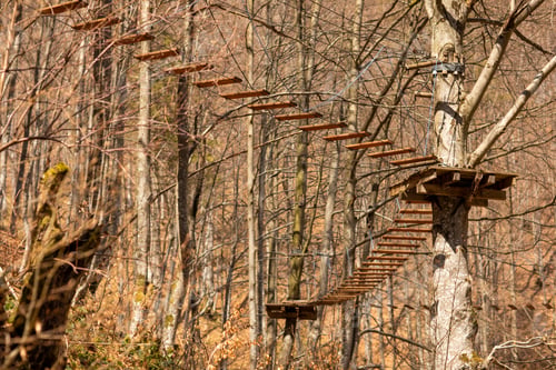 Preview: Rope park in the middle of the forest.Passing sports obstacles above the ground.Outdoor activities